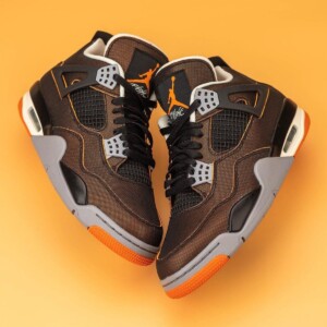 Air Jordan 4 Starfish