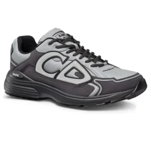 Dior B30 Gris