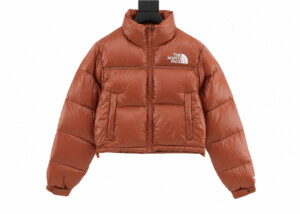 Chaqueta The North Face Acolchada Terracota Negra