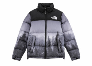 Chaqueta The North Face Acolchada Negra Gris Degradada